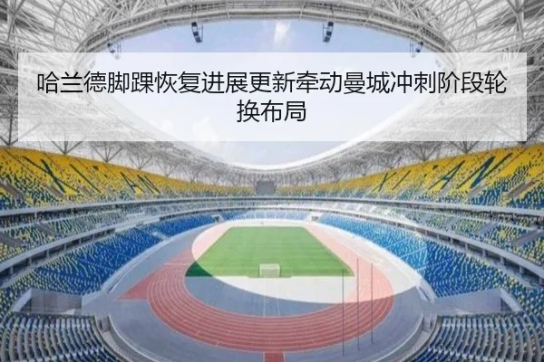 ha-lan-de-jiao-huai-hui-fu-jin-zhan-geng-xin-qian-dong-man-cheng-chong-ci-jie-duan-lun-huan-bu-ju-2-854.jpg