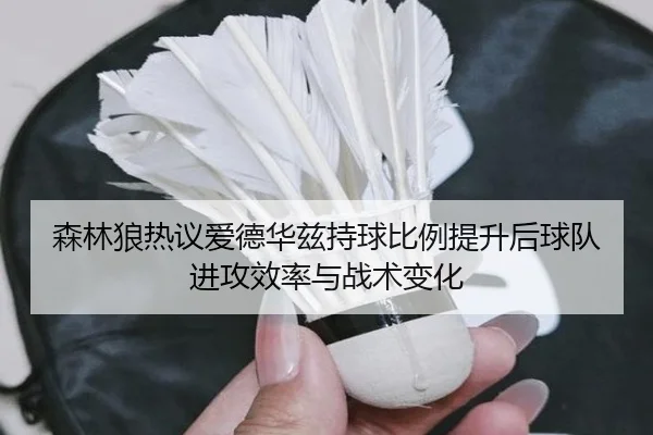 森林狼热议爱德华兹持球比例提升后球队进攻效率与战术变化